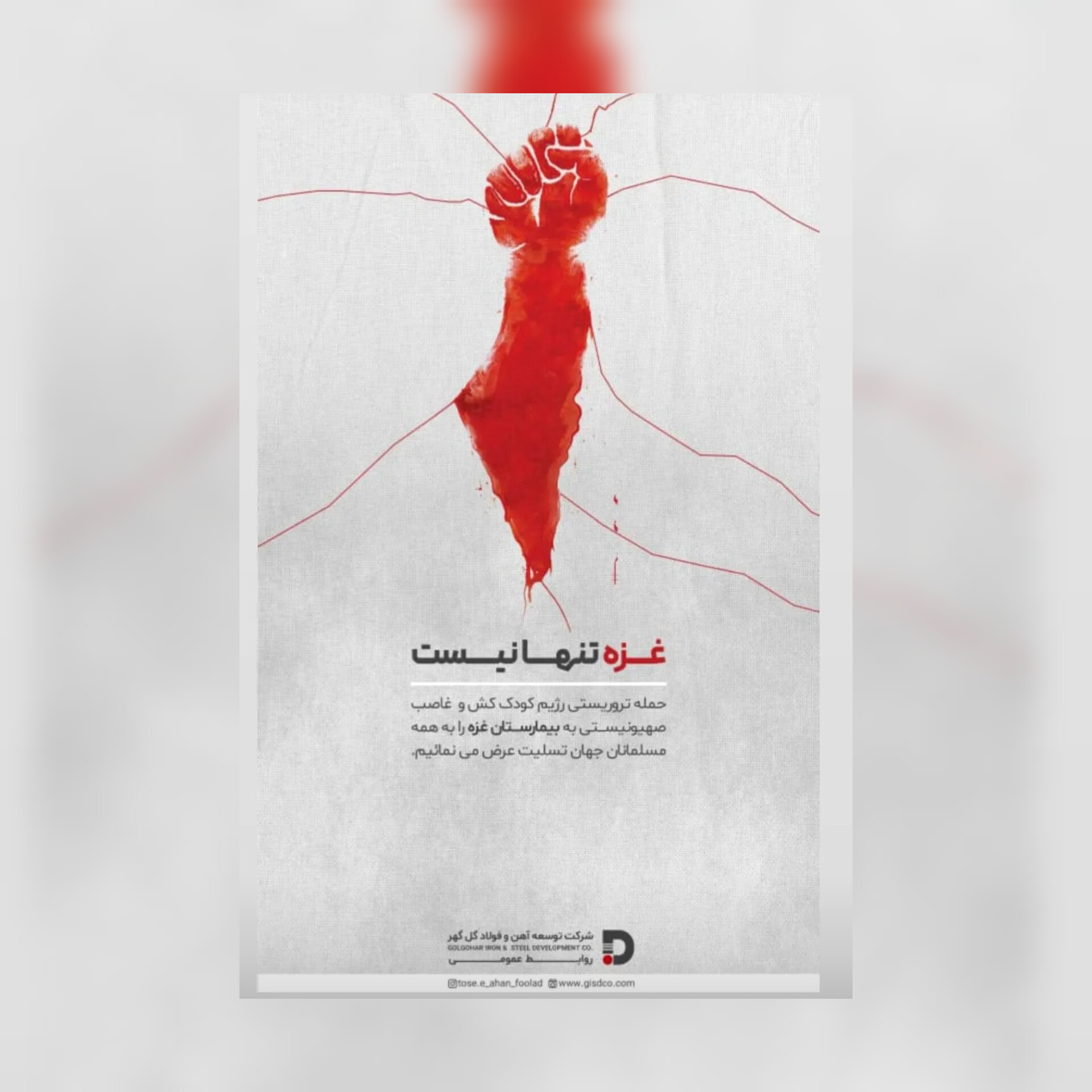تصویر غزه تنها نیست