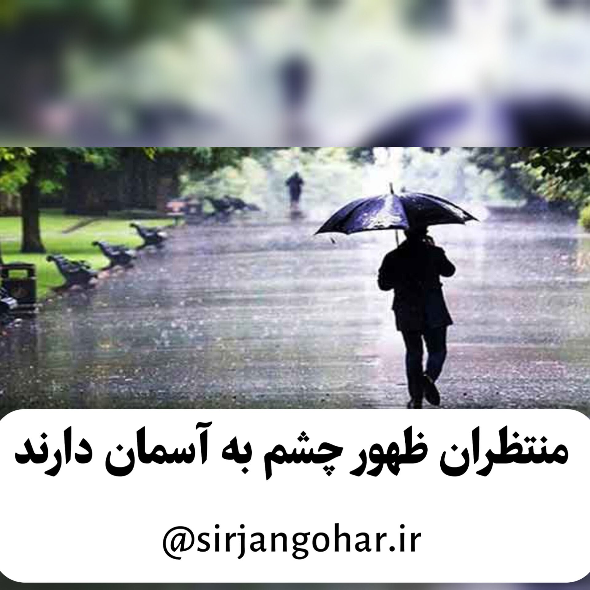 تصویر منتظران ظهور چشم به آسمان دارند