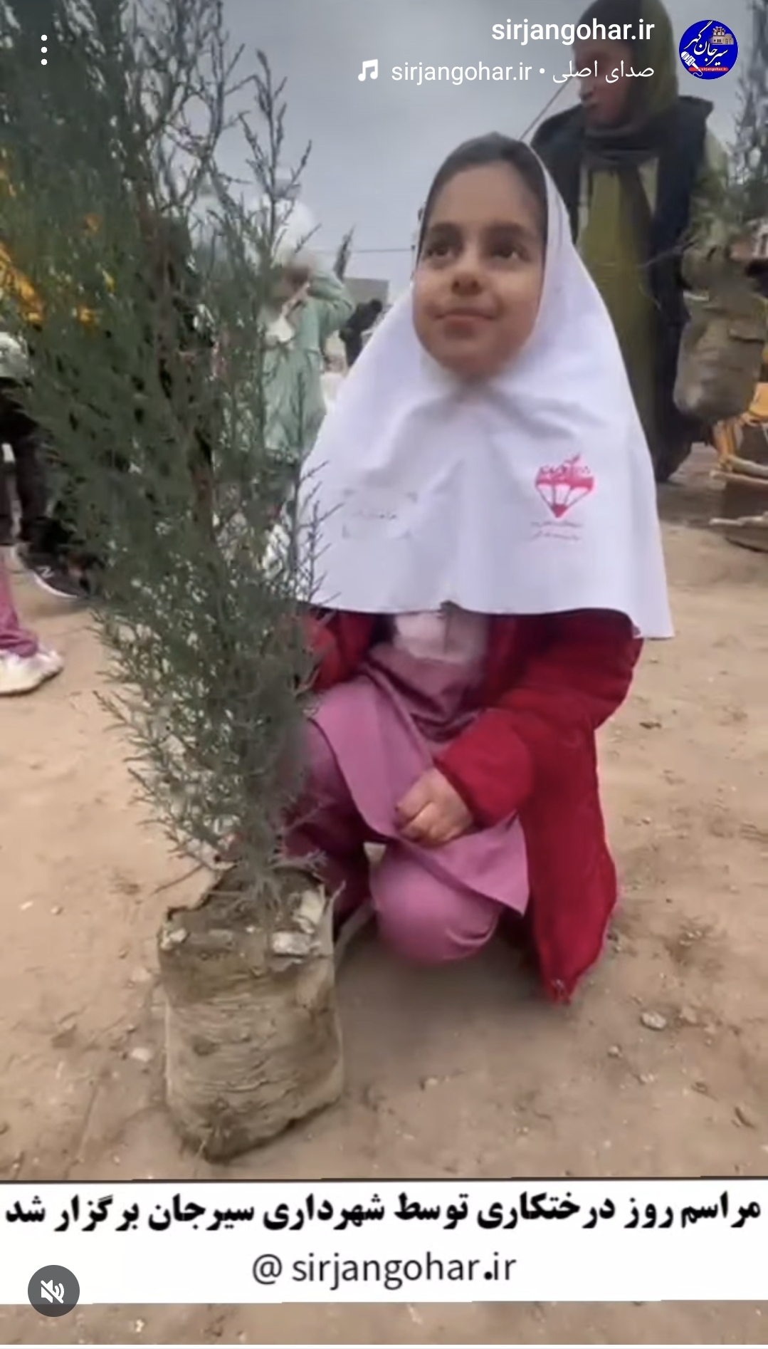 تصویر روز درختکاری