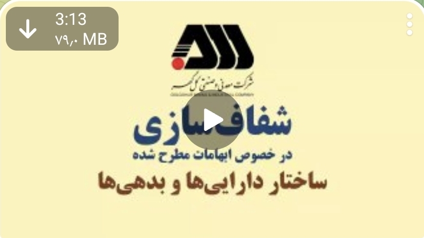 تصویر ساختار دارایی ها و بدهی های شرکت معدنی و صنعتی گل گهر
